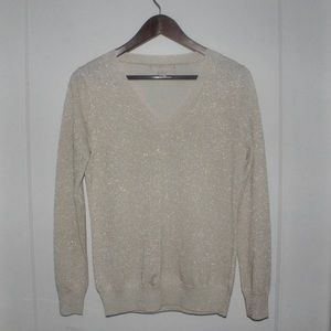 Shimmery Long Sleeve Top